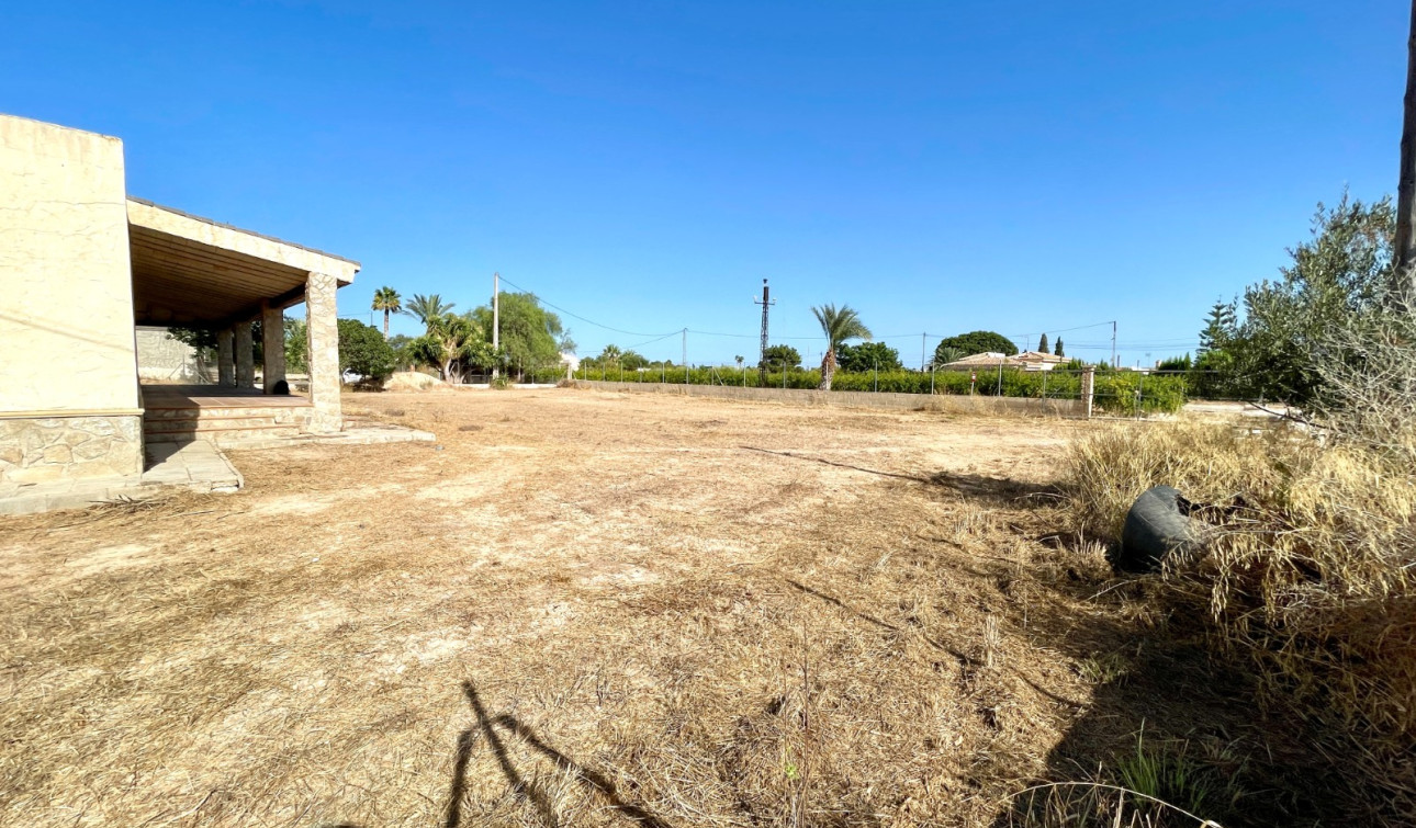 Resale - Finca / Country Property - Elche - Matola