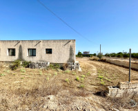 Resale - Finca / Country Property - Elche - Matola