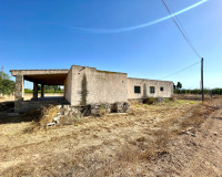 Resale - Finca / Country Property - Elche - Matola