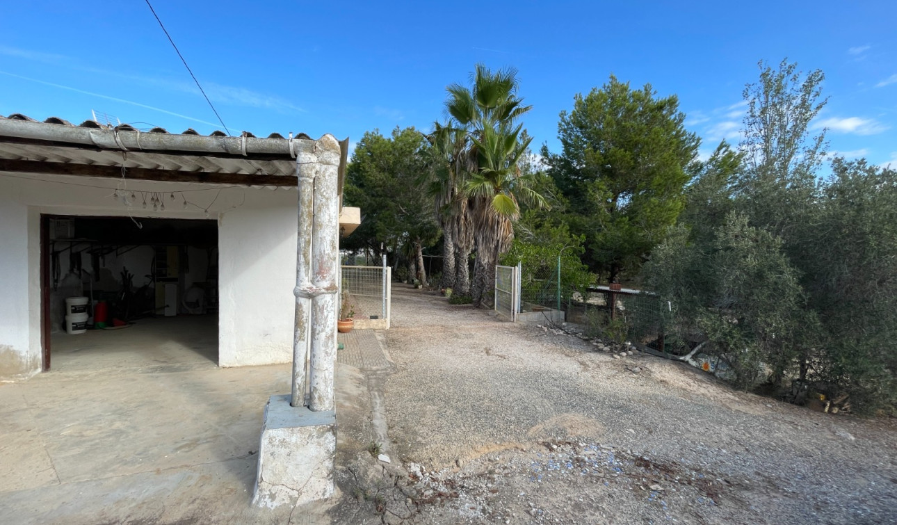 Resale - Finca / Country Property - Jacarilla