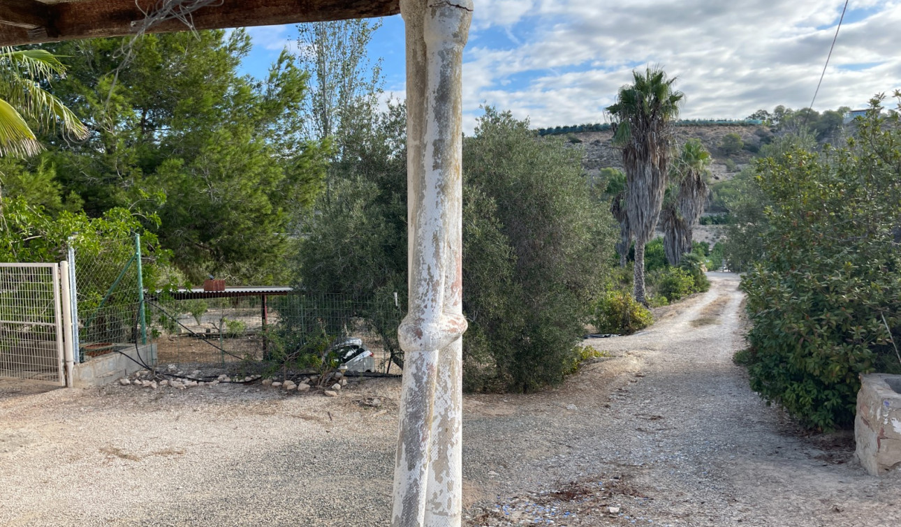 Resale - Finca / Country Property - Jacarilla