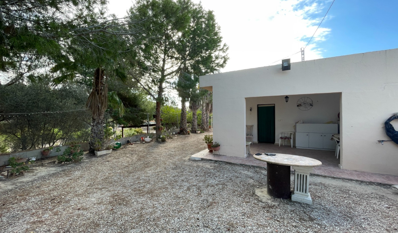 Resale - Finca / Country Property - Jacarilla