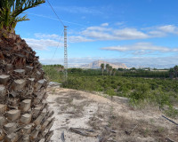 Resale - Finca / Country Property - Jacarilla