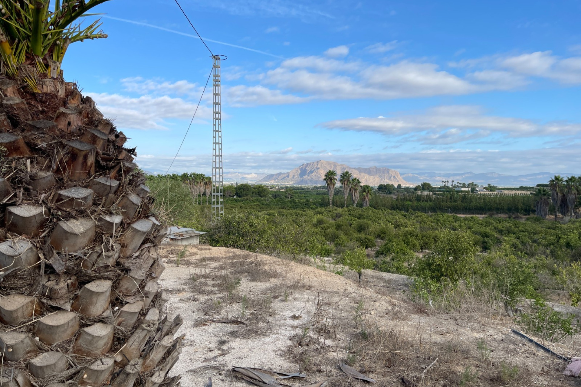 Resale - Finca / Country Property - Jacarilla