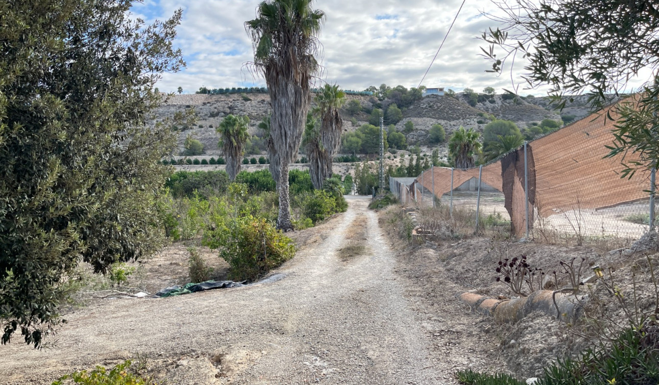 Resale - Finca / Country Property - Jacarilla