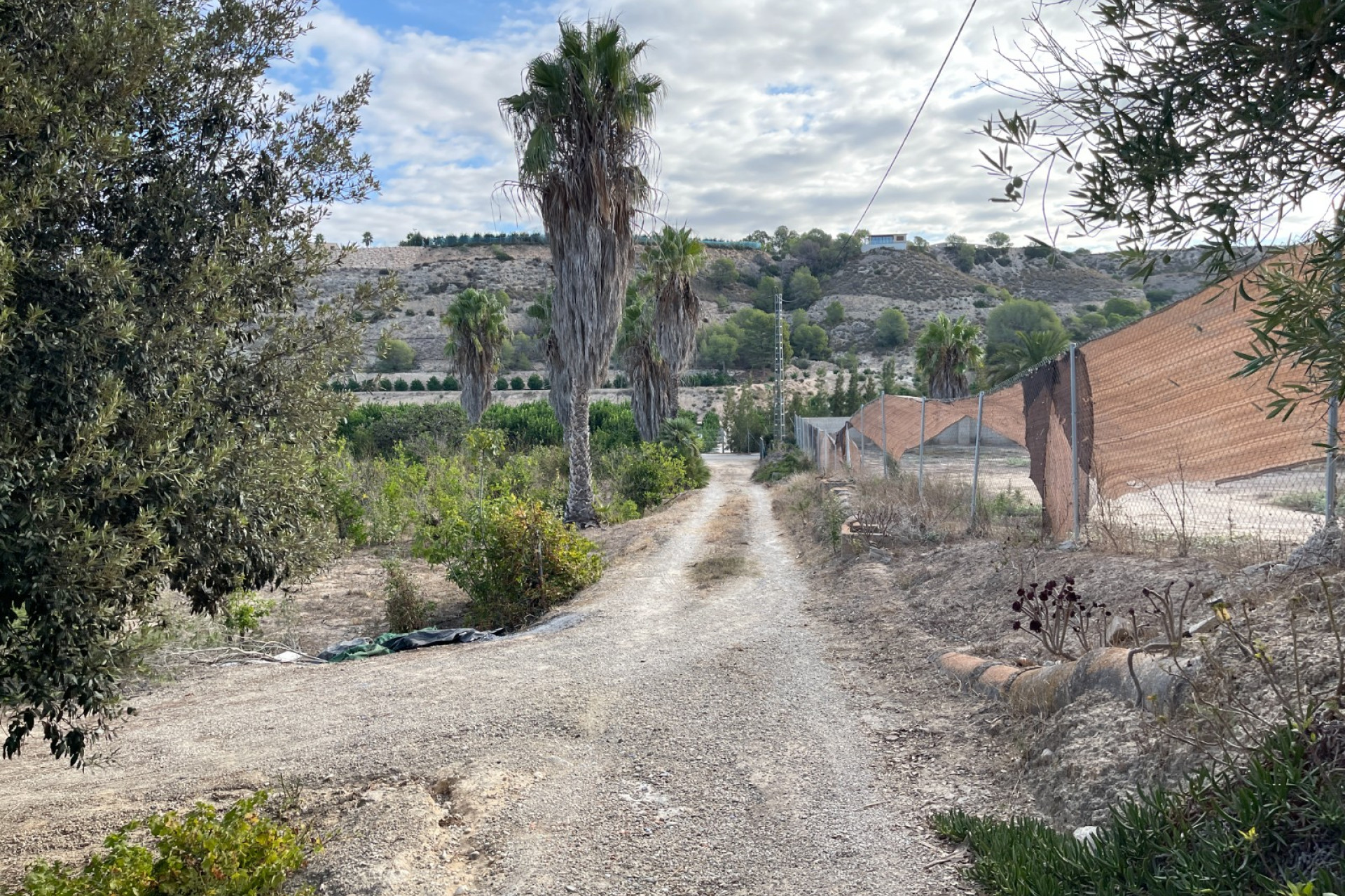 Resale - Finca / Country Property - Jacarilla