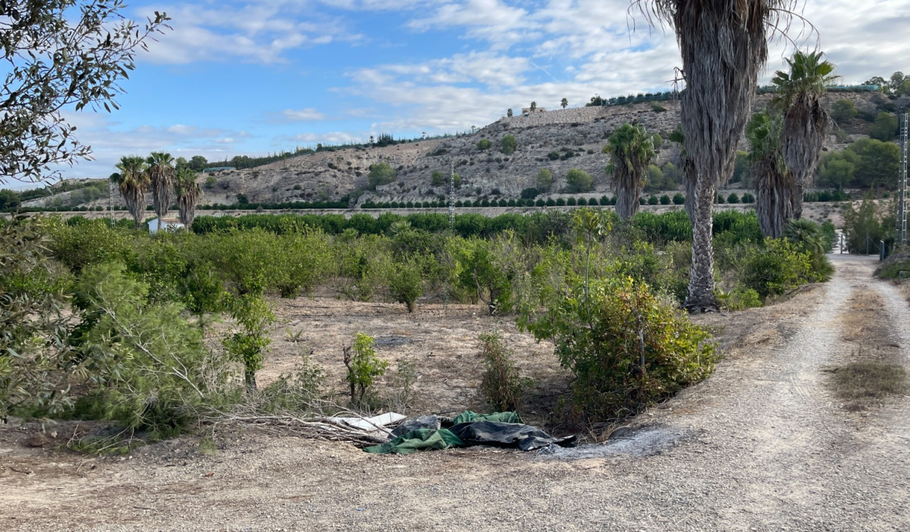 Resale - Finca / Country Property - Jacarilla