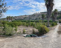 Resale - Finca / Country Property - Jacarilla