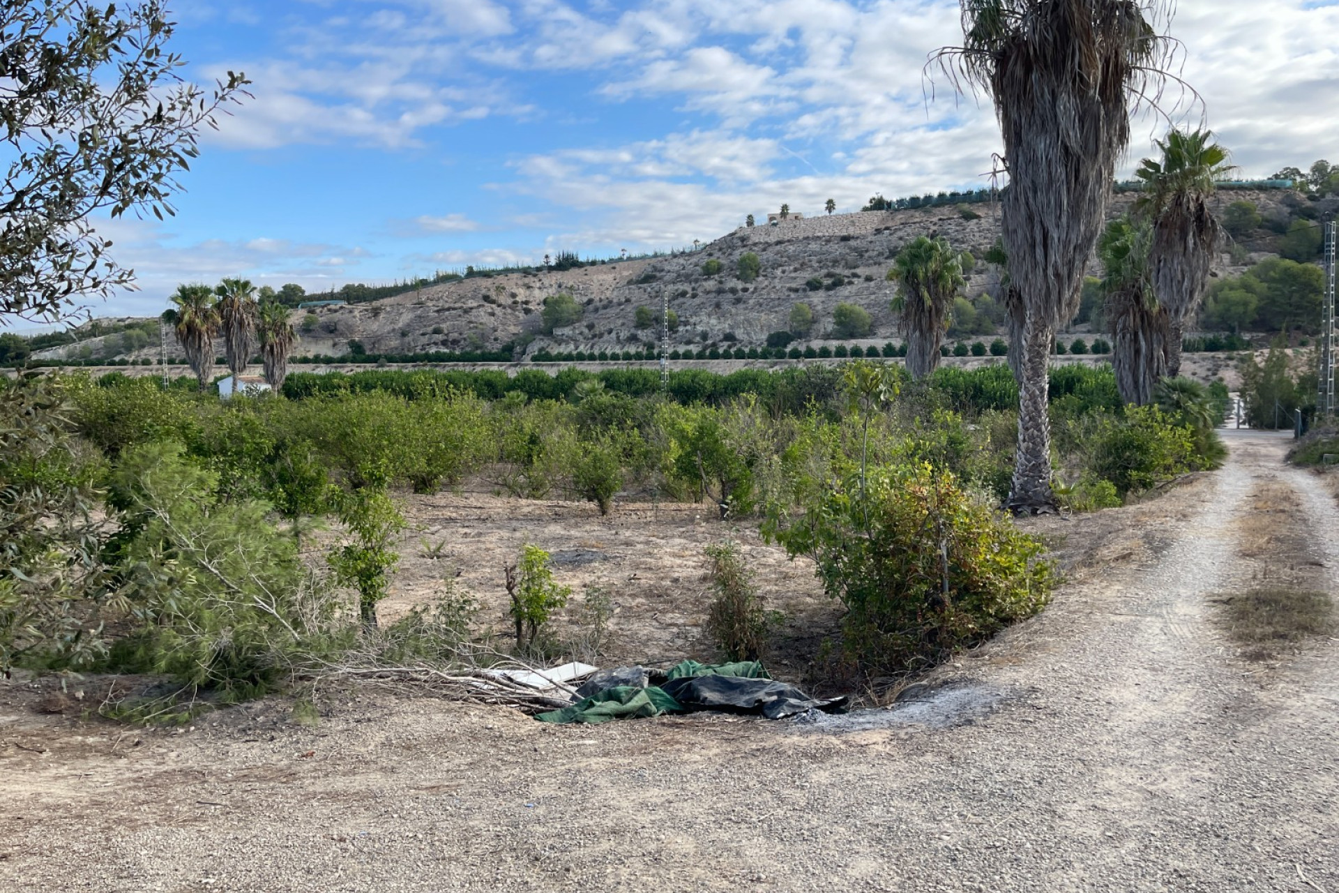 Resale - Finca / Country Property - Jacarilla