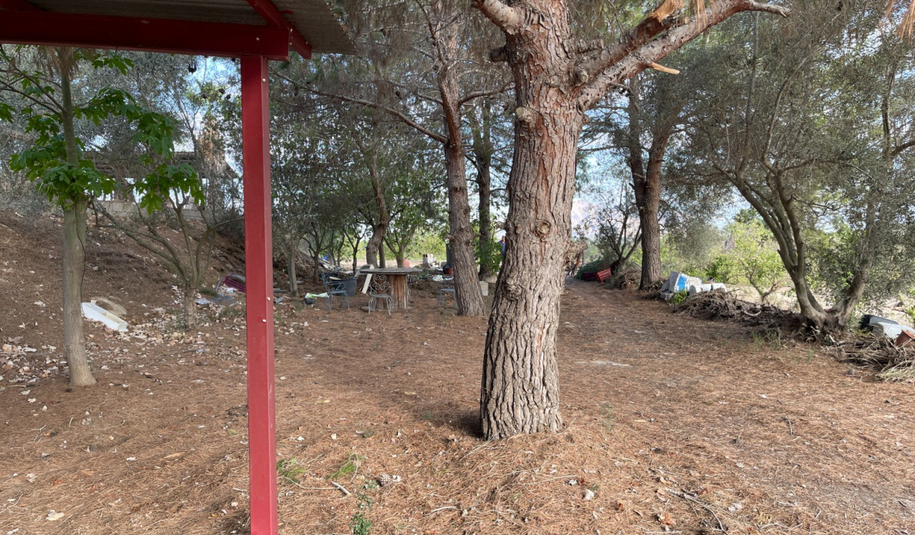 Resale - Finca / Country Property - Jacarilla