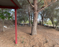 Resale - Finca / Country Property - Jacarilla