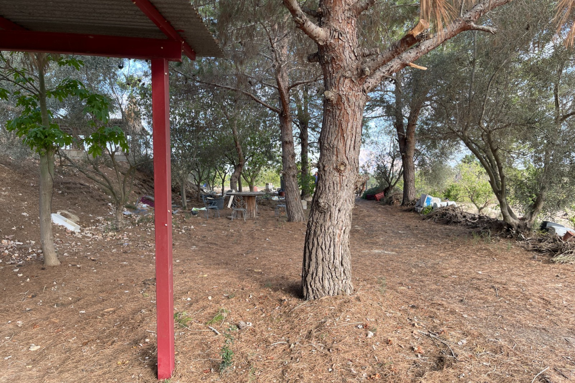 Resale - Finca / Country Property - Jacarilla