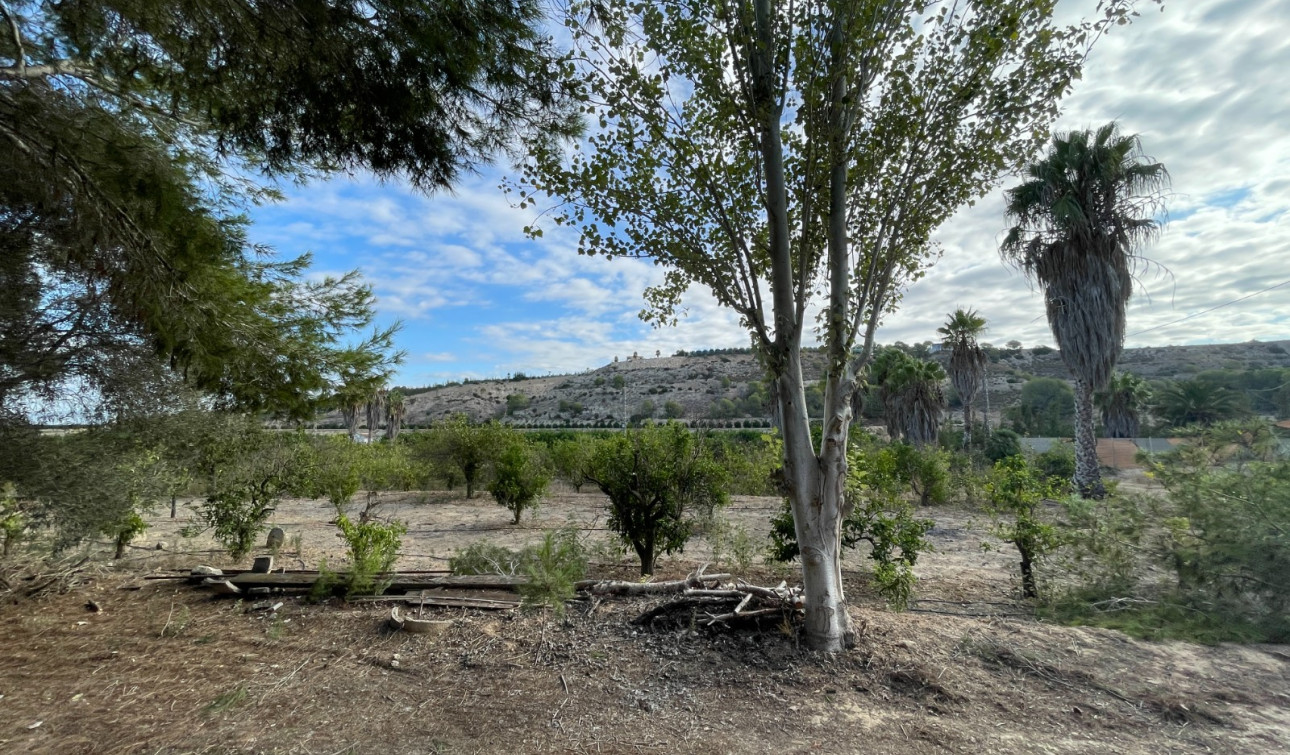 Resale - Finca / Country Property - Jacarilla