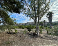 Resale - Finca / Country Property - Jacarilla