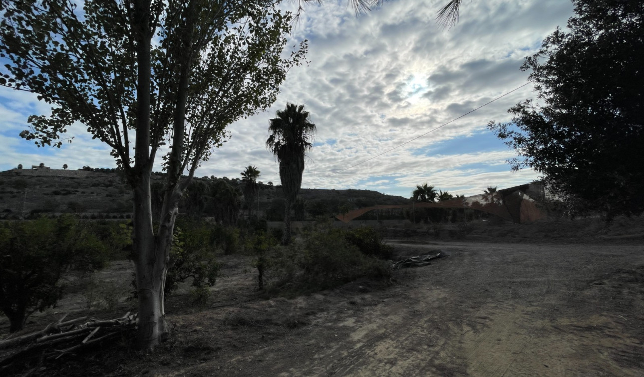 Resale - Finca / Country Property - Jacarilla