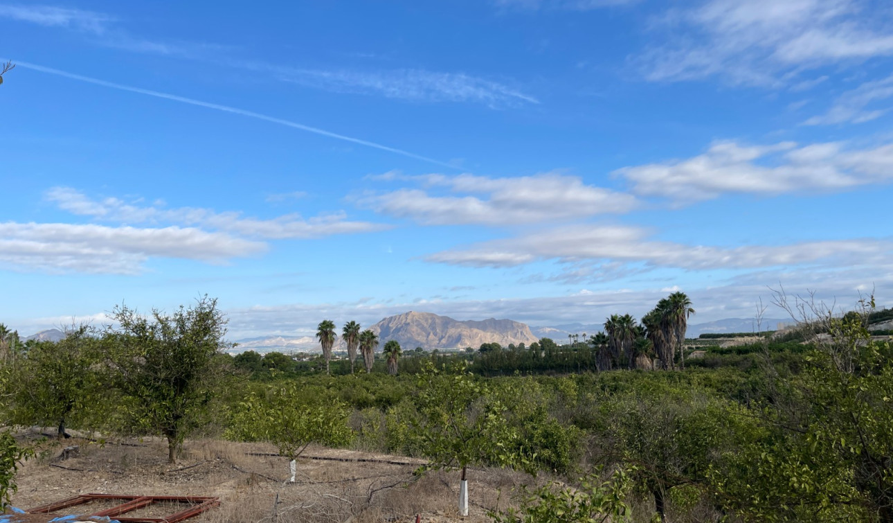 Resale - Finca / Country Property - Jacarilla