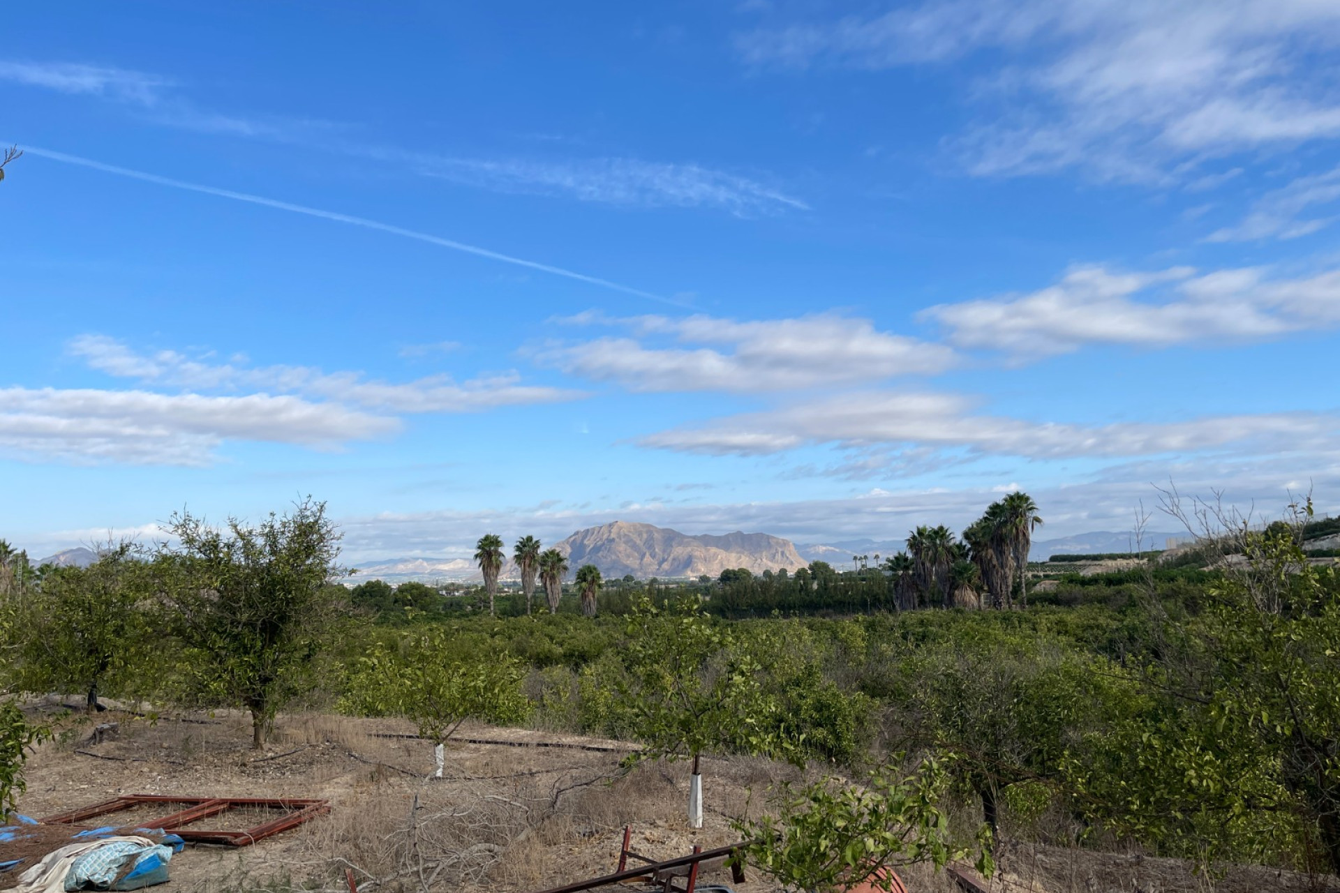 Resale - Finca / Country Property - Jacarilla