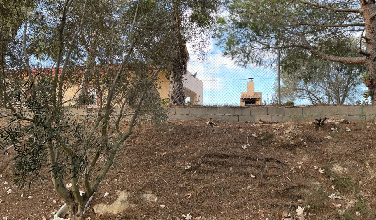 Resale - Finca / Country Property - Jacarilla