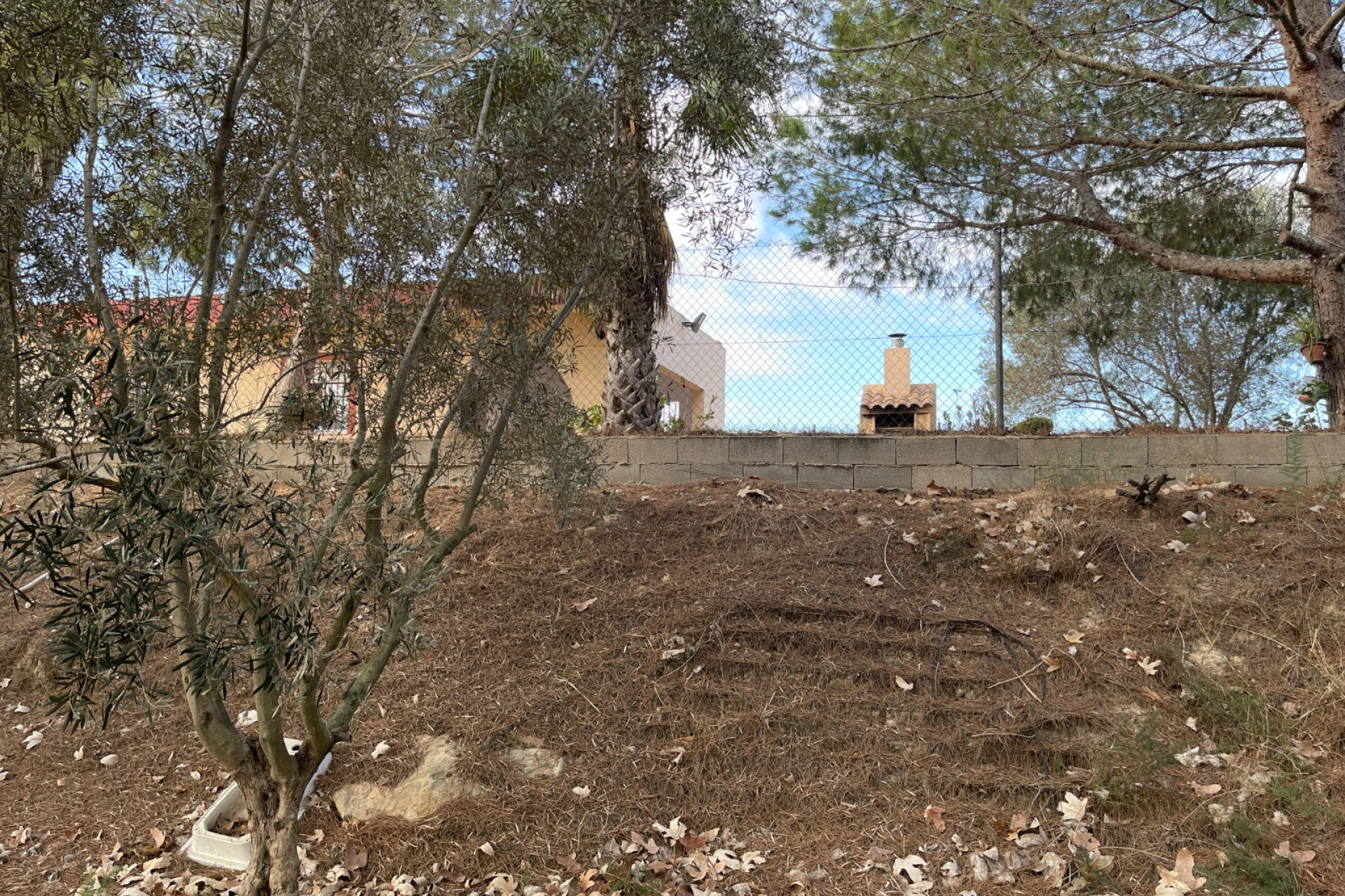 Resale - Finca / Country Property - Jacarilla