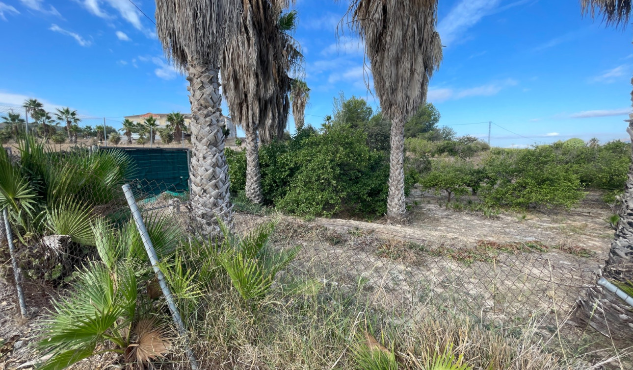 Resale - Finca / Country Property - Jacarilla