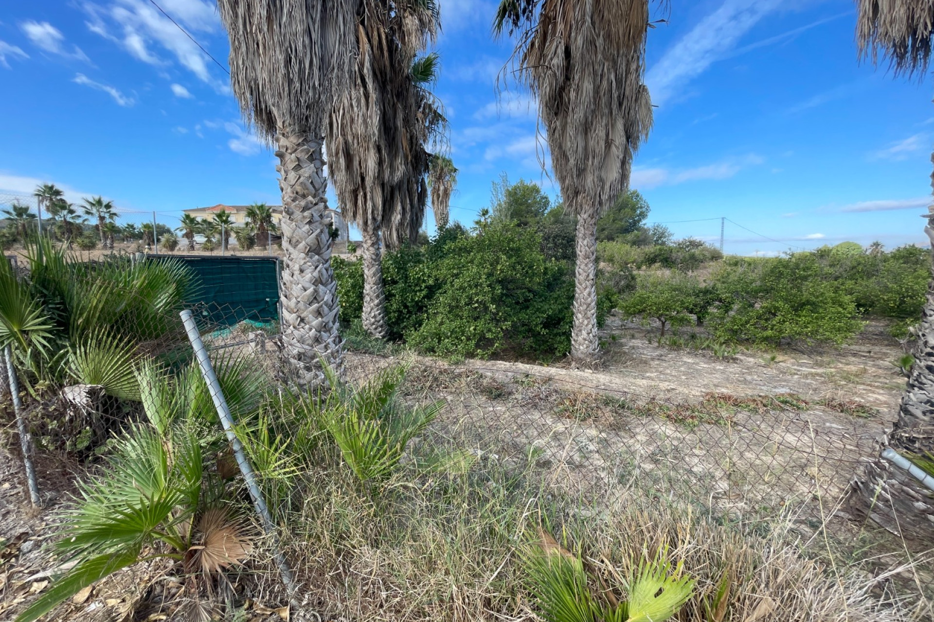 Resale - Finca / Country Property - Jacarilla