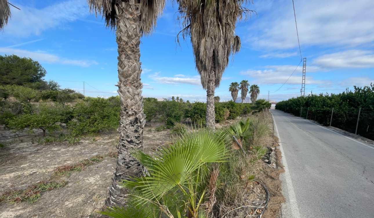 Resale - Finca / Country Property - Jacarilla