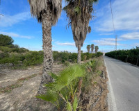 Resale - Finca / Country Property - Jacarilla