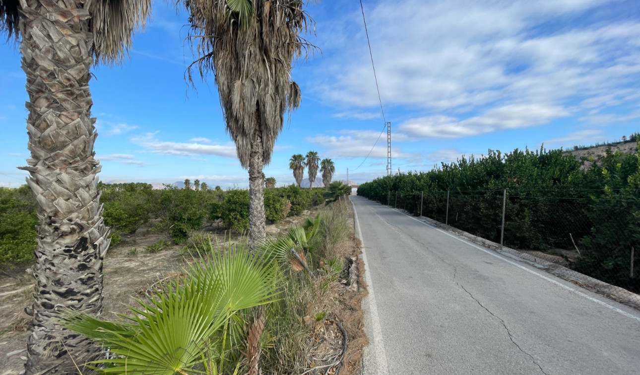 Resale - Finca / Country Property - Jacarilla