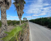 Resale - Finca / Country Property - Jacarilla