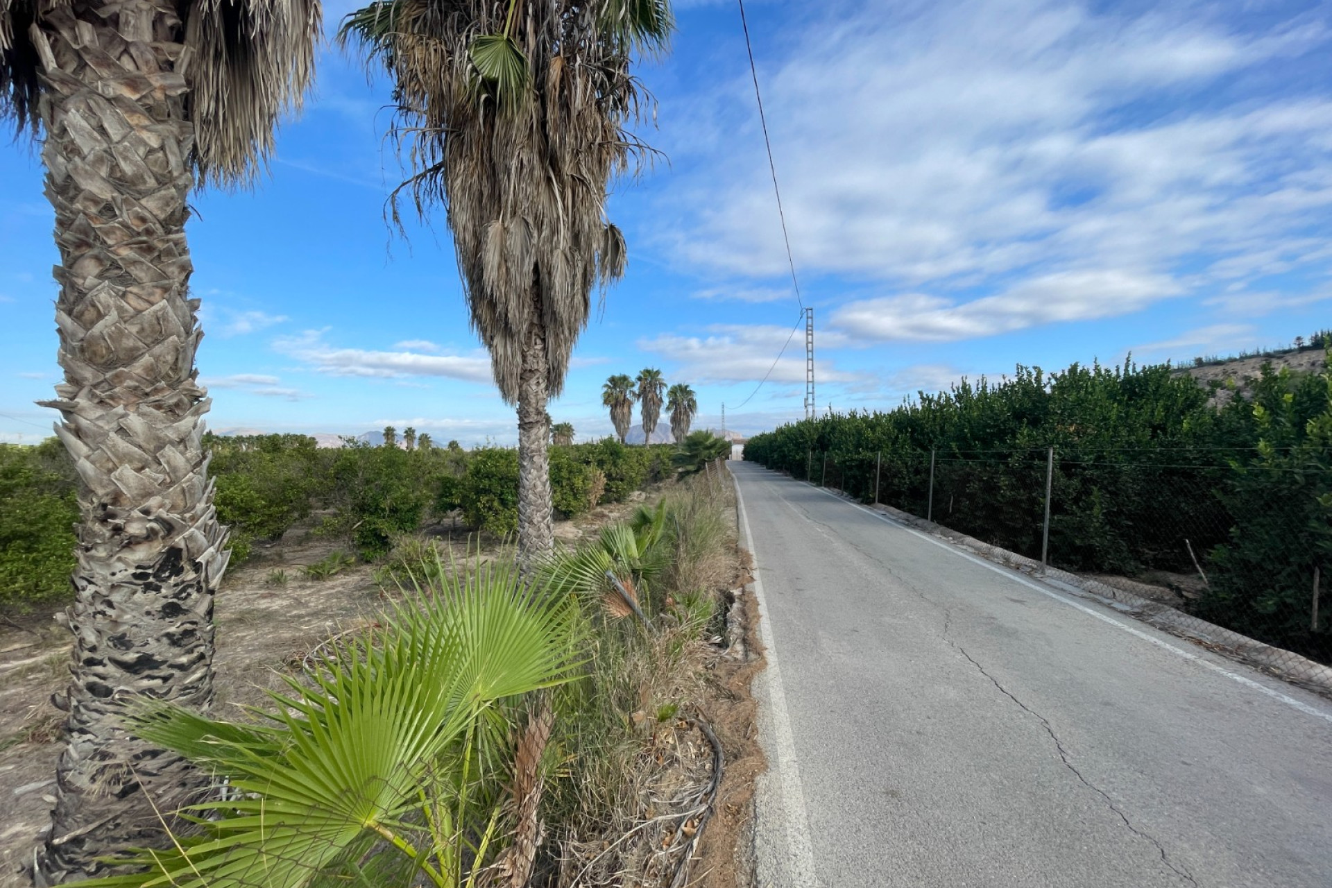 Resale - Finca / Country Property - Jacarilla