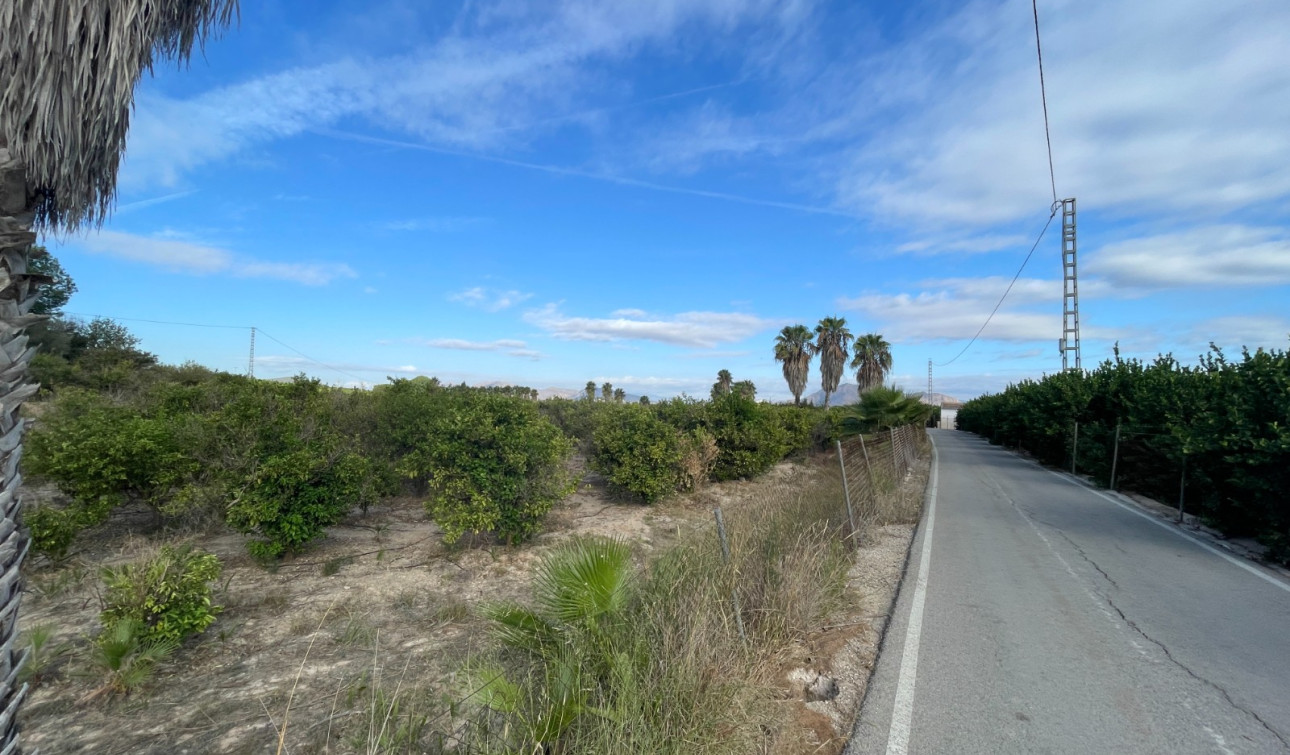 Resale - Finca / Country Property - Jacarilla