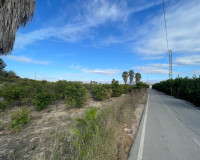 Resale - Finca / Country Property - Jacarilla