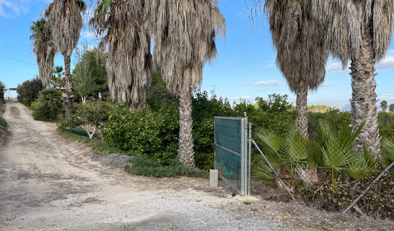 Resale - Finca / Country Property - Jacarilla