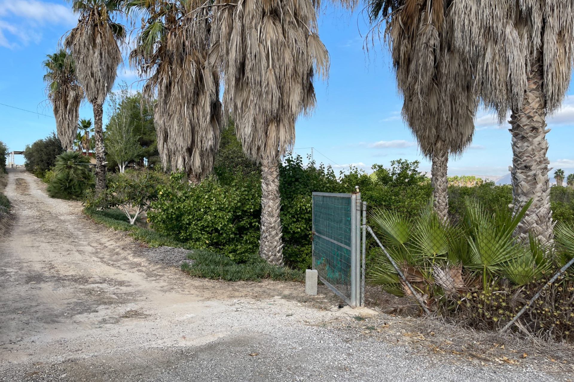 Resale - Finca / Country Property - Jacarilla