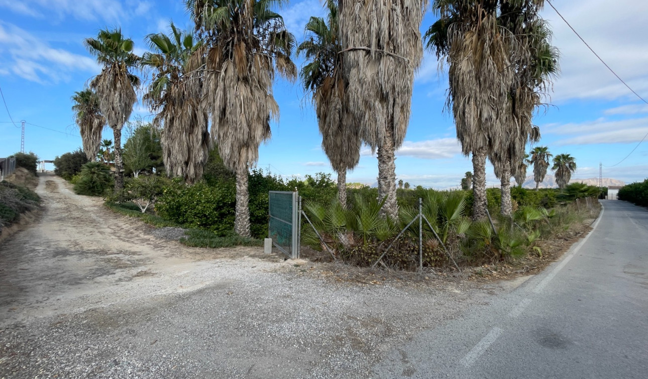 Resale - Finca / Country Property - Jacarilla