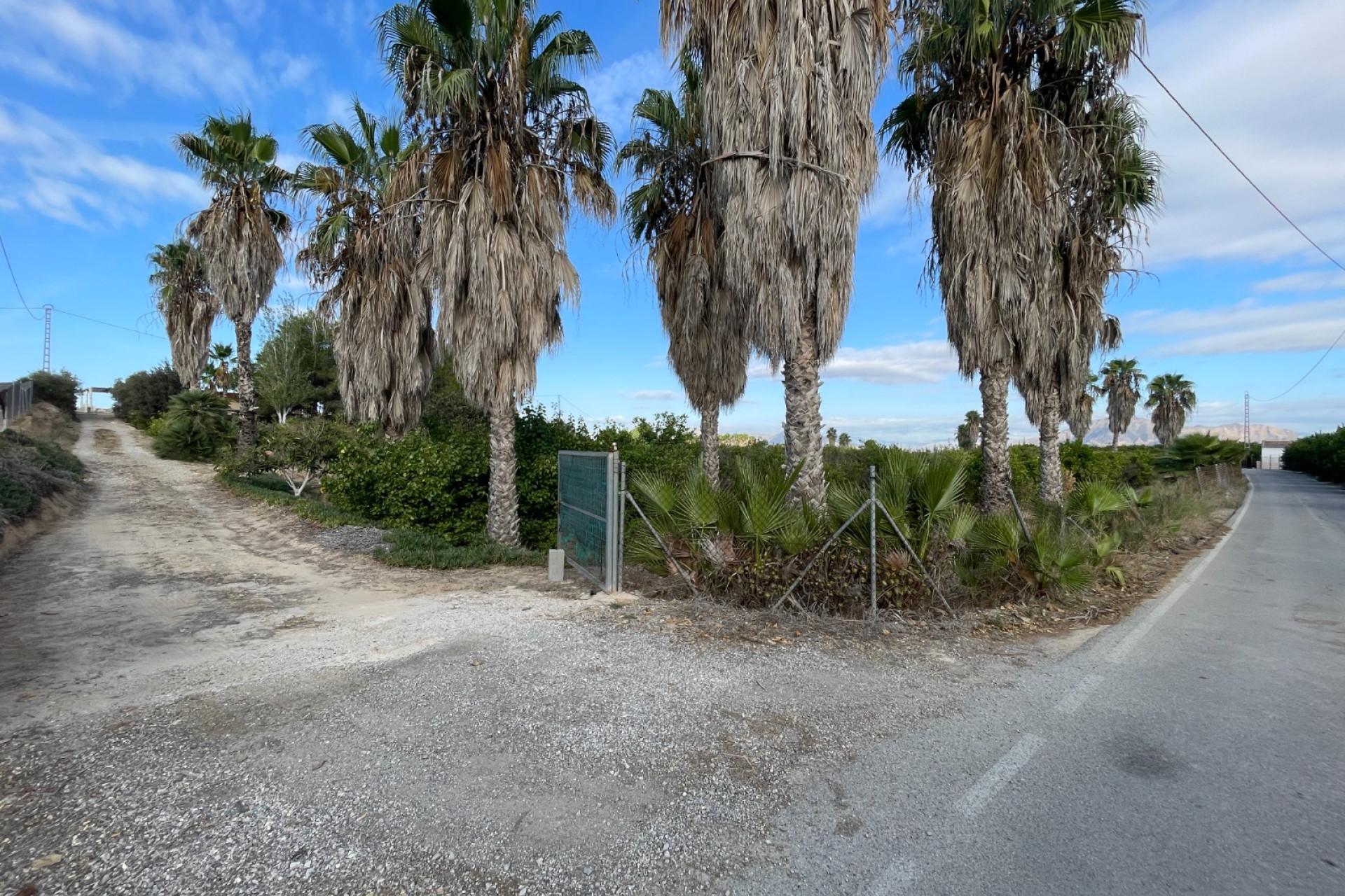 Resale - Finca / Country Property - Jacarilla