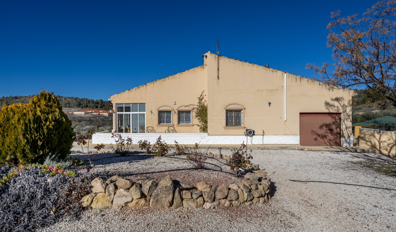 Resale - Finca / Country Property - La Zarza