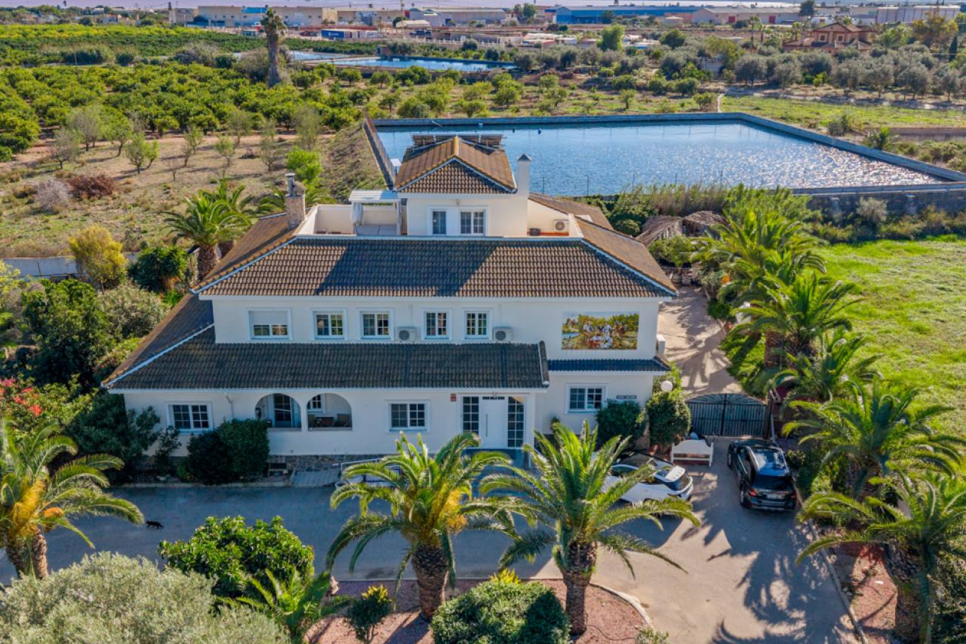 Resale - Finca / Country Property - Los Montesinos