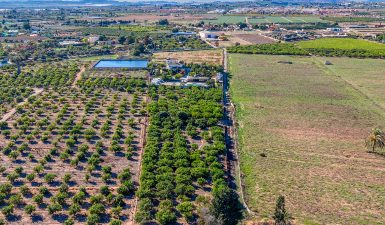 Resale - Finca / Country Property - Los Montesinos