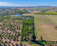 Resale - Finca / Country Property - Los Montesinos