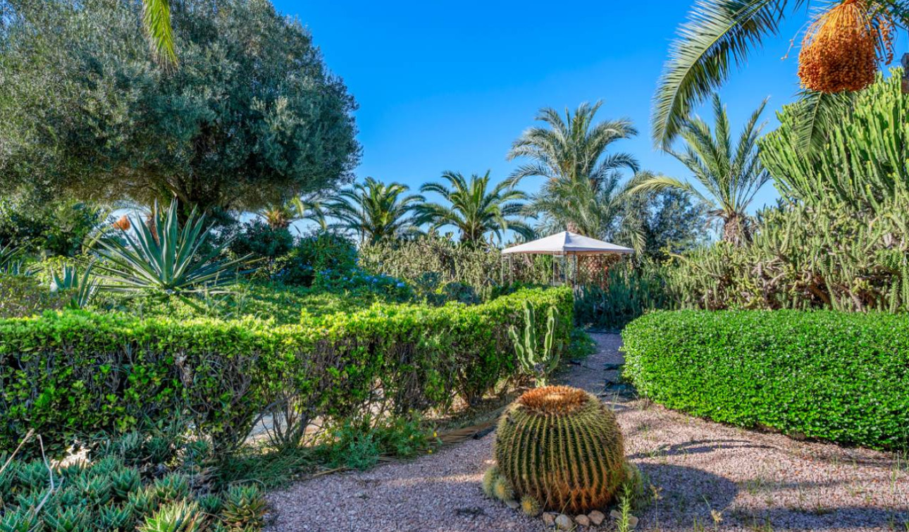 Resale - Finca / Country Property - Los Montesinos