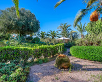 Resale - Finca / Country Property - Los Montesinos