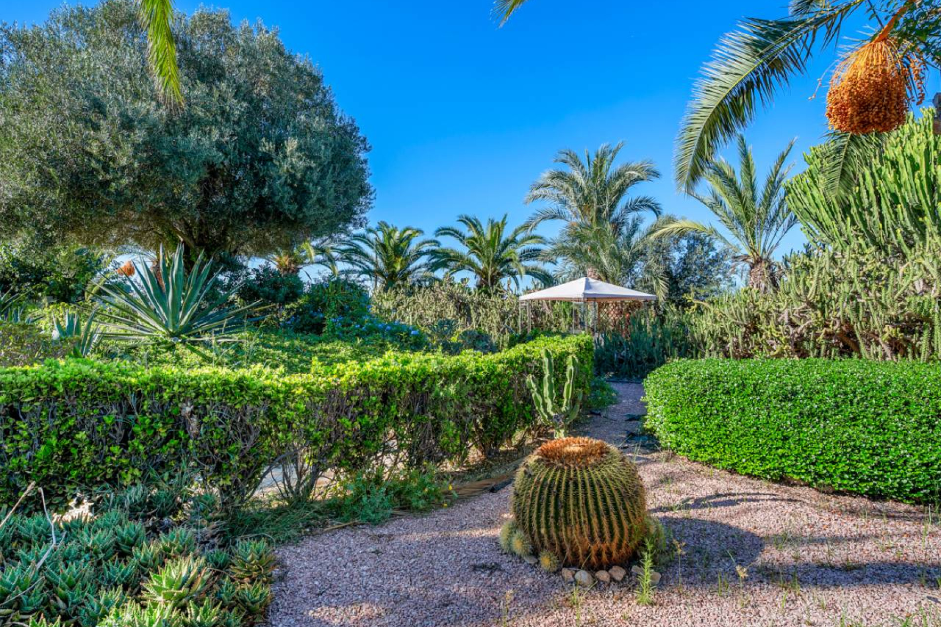 Resale - Finca / Country Property - Los Montesinos