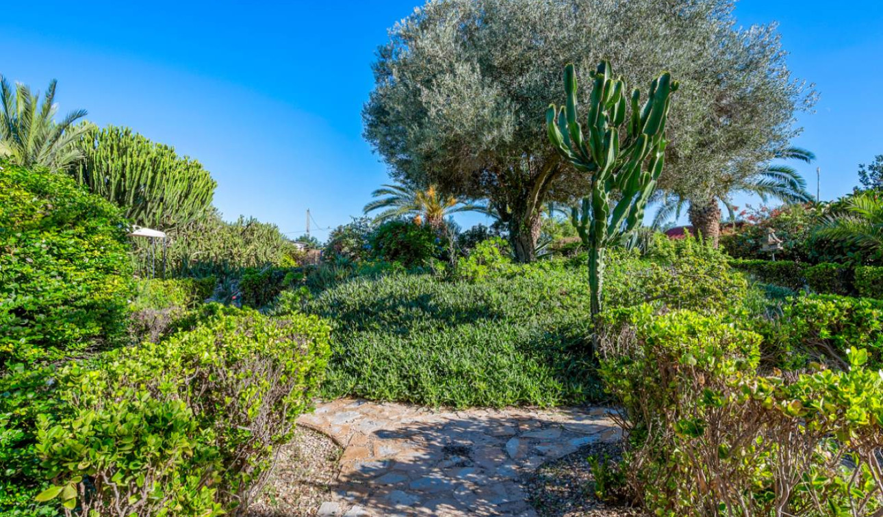 Resale - Finca / Country Property - Los Montesinos