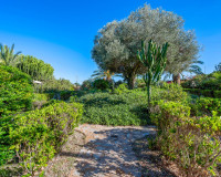 Resale - Finca / Country Property - Los Montesinos