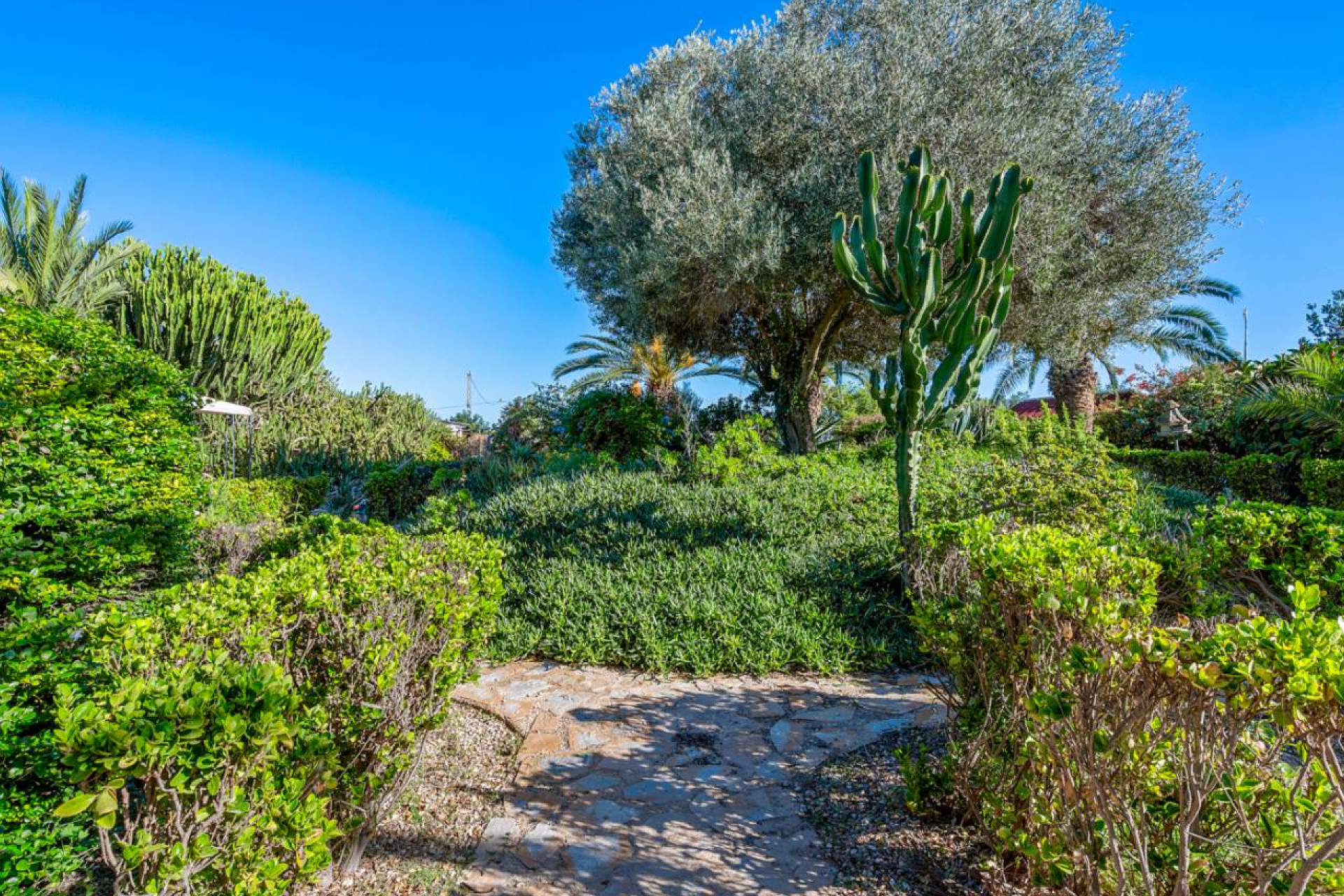 Resale - Finca / Country Property - Los Montesinos