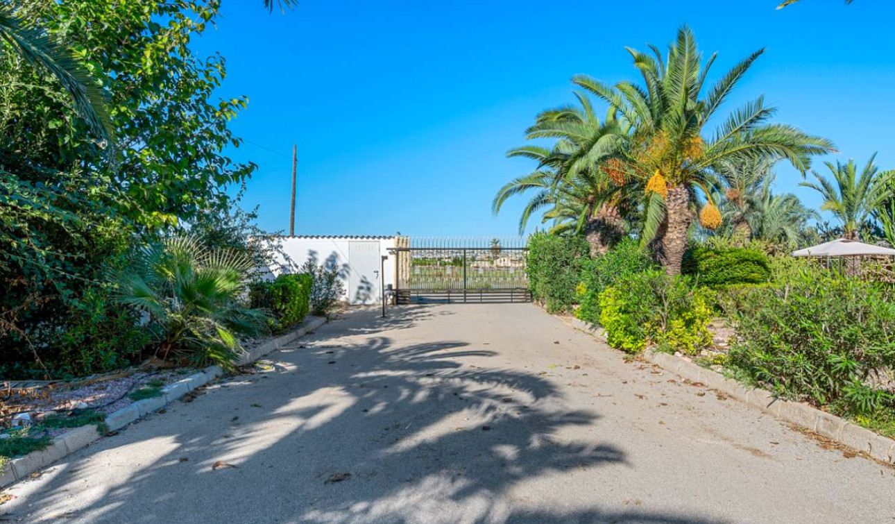 Resale - Finca / Country Property - Los Montesinos