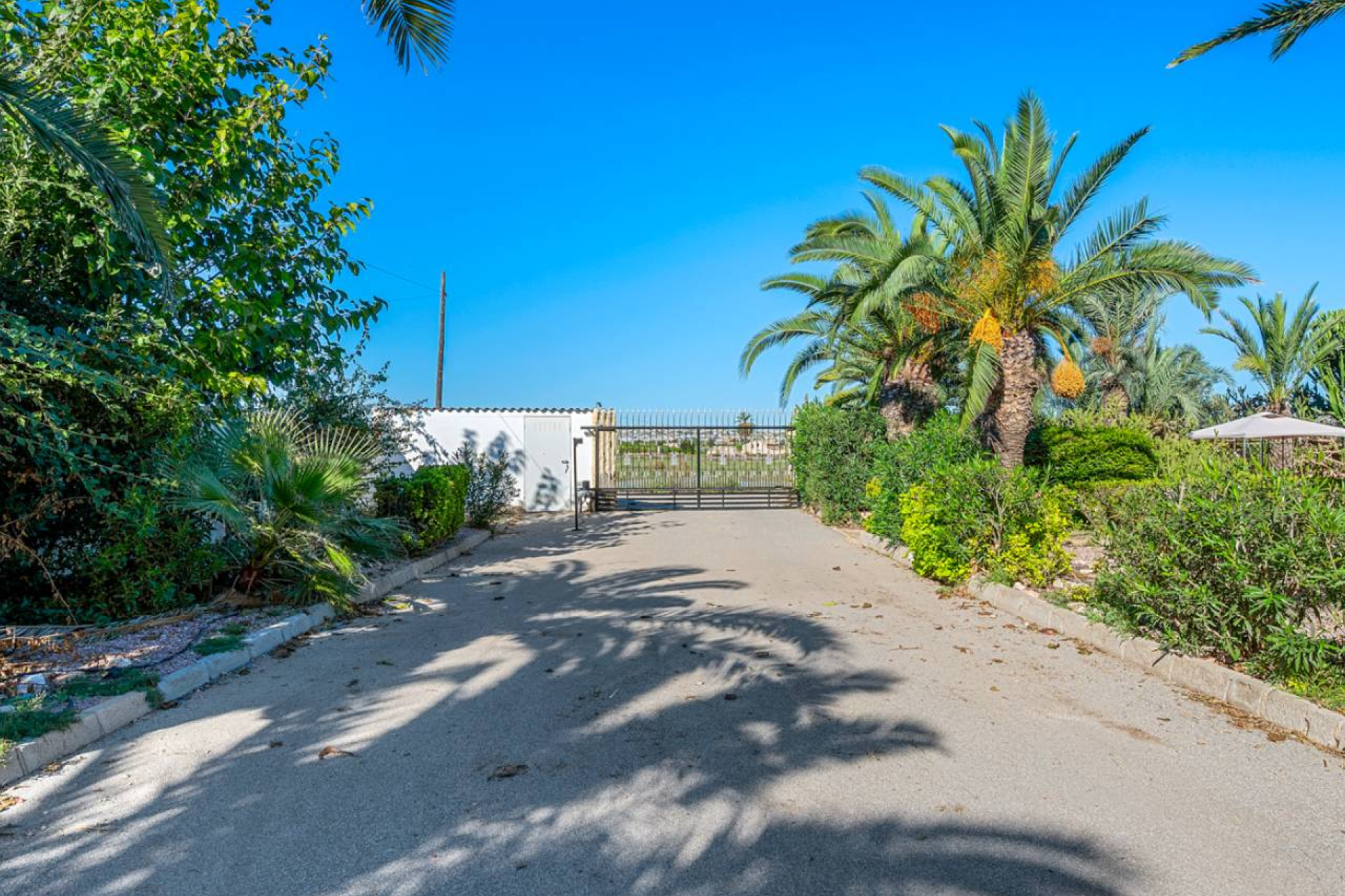 Resale - Finca / Country Property - Los Montesinos