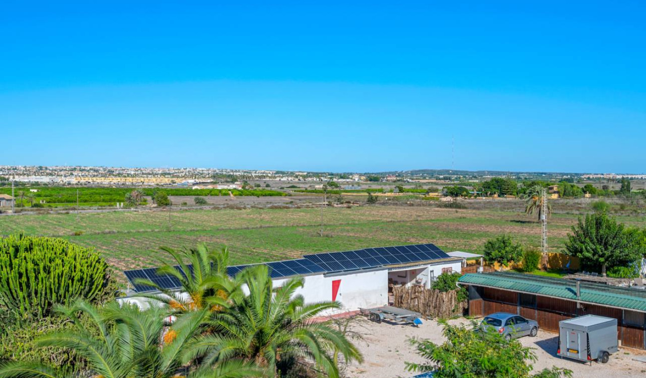 Resale - Finca / Country Property - Los Montesinos