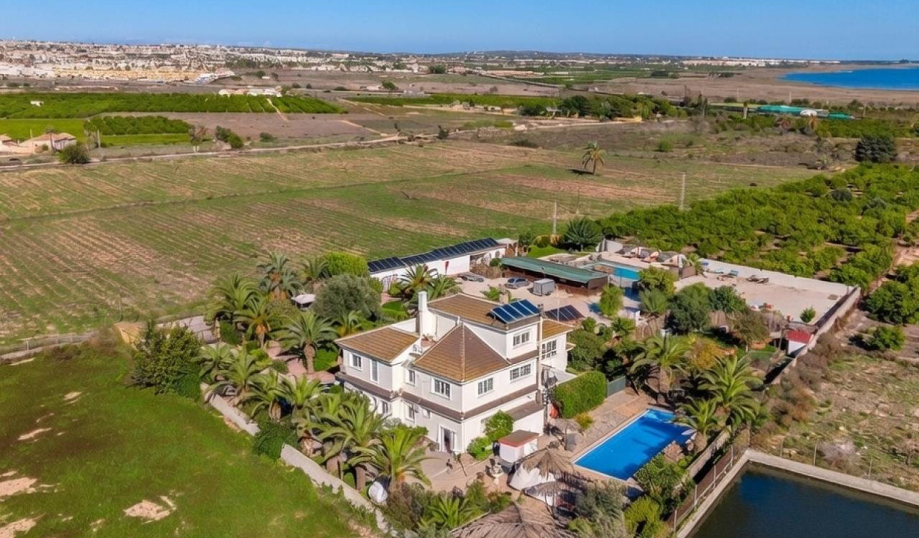 Resale - Finca / Country Property - Los Montesinos